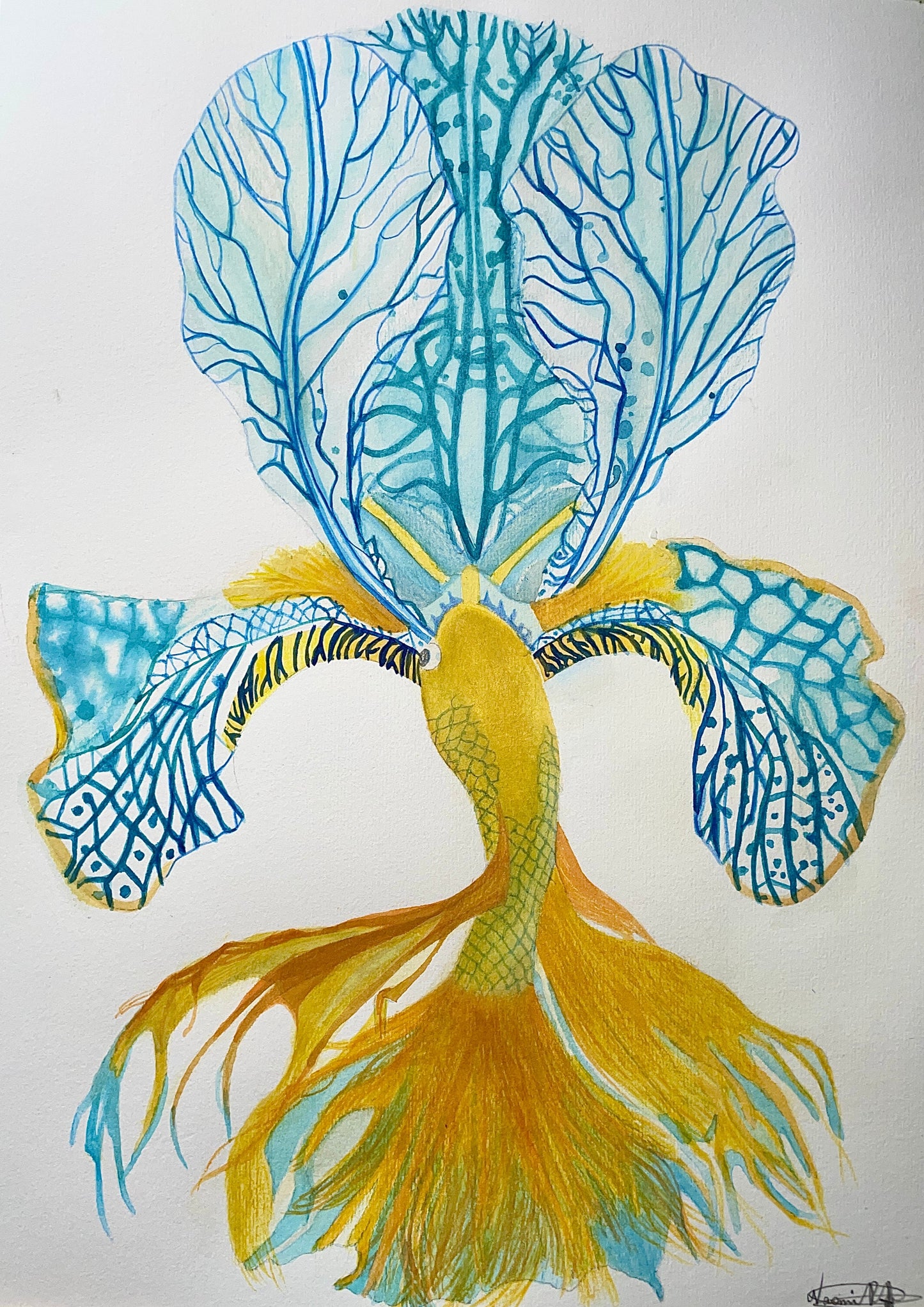 Iris Fish