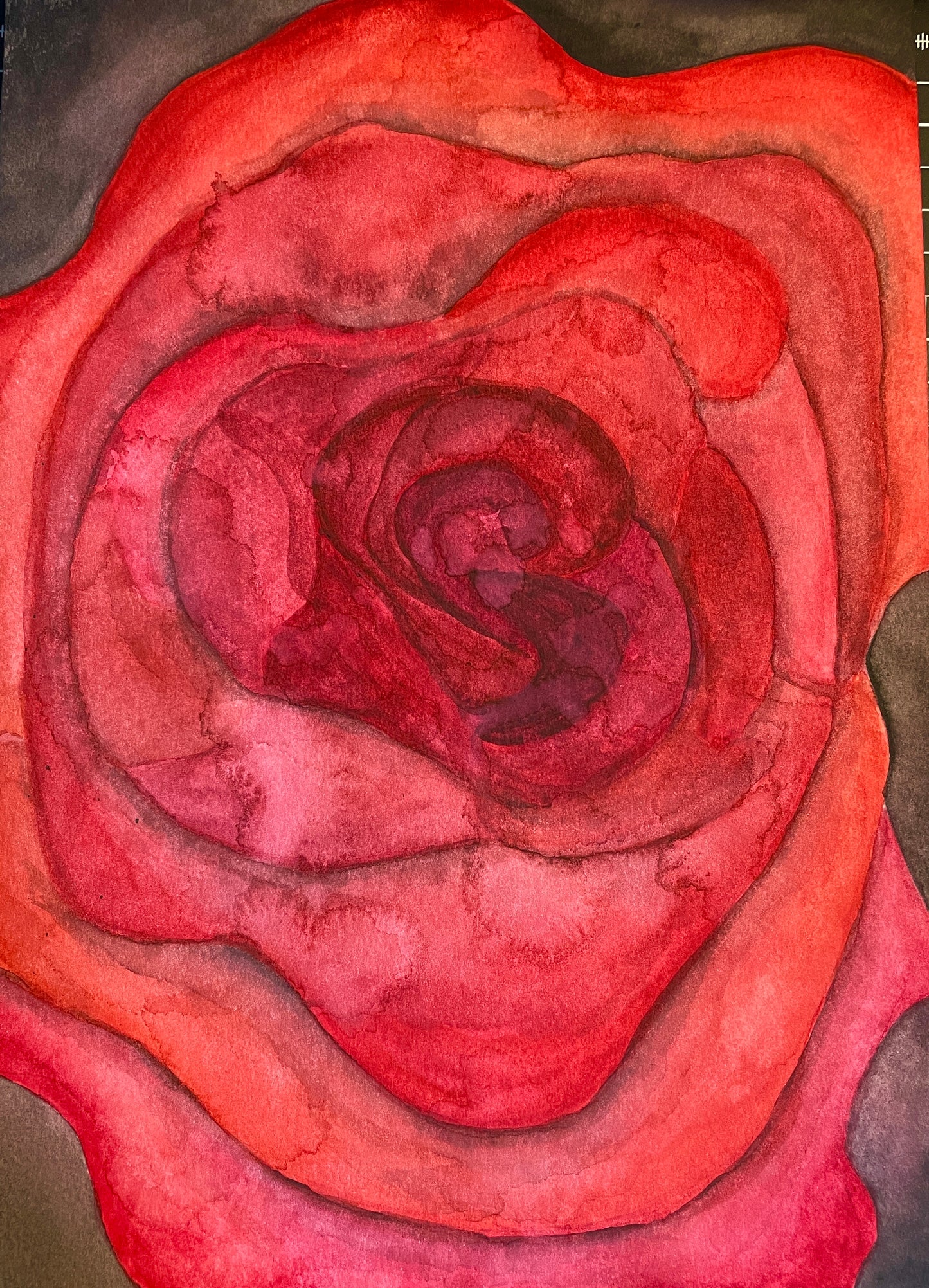 Ruptured Rose