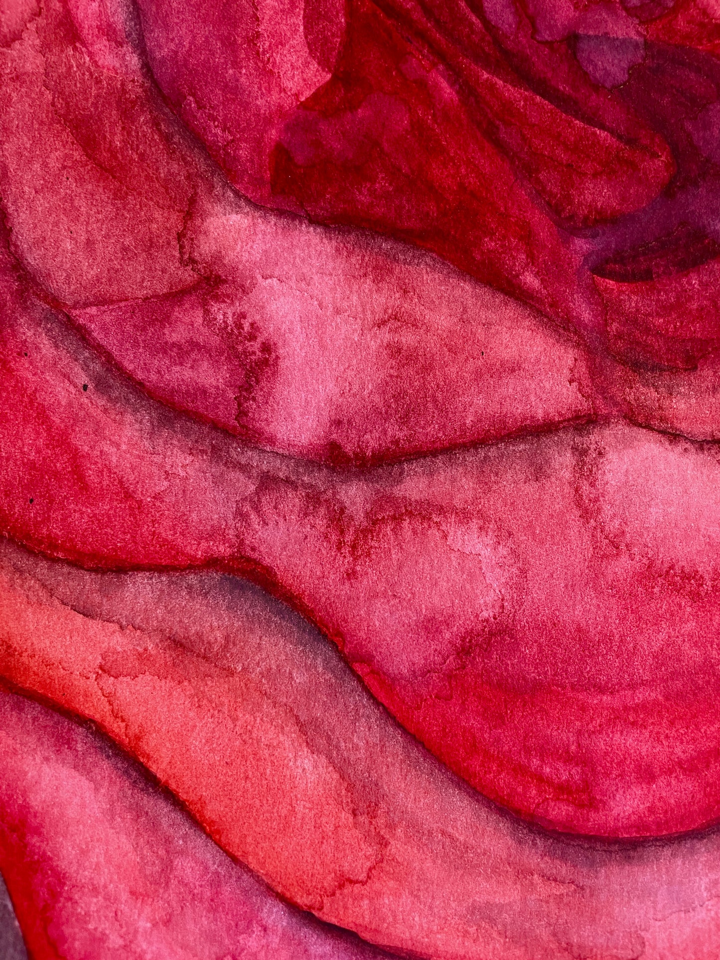 Ruptured Rose
