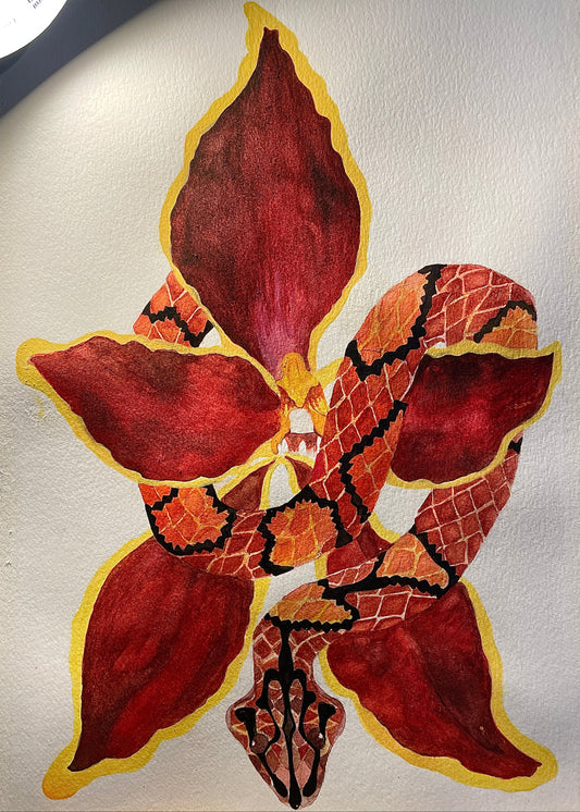 Colmanara's Kiss
