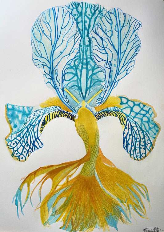 Iris Fish