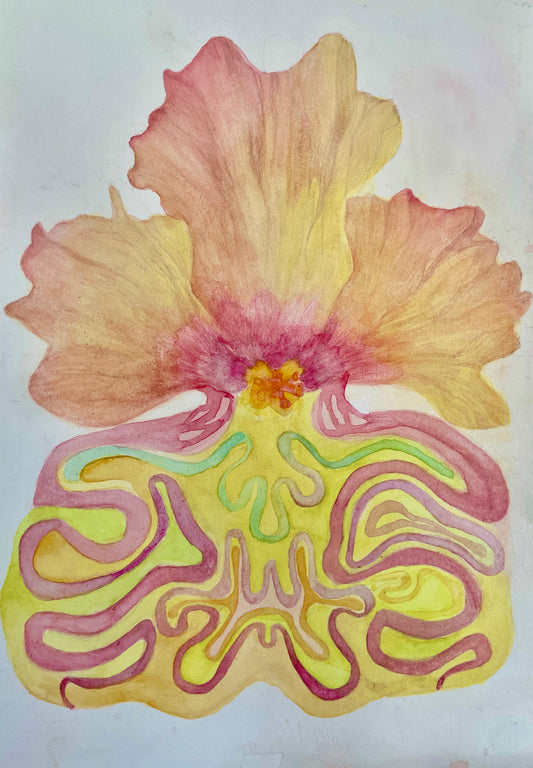 Hibiscus Dream