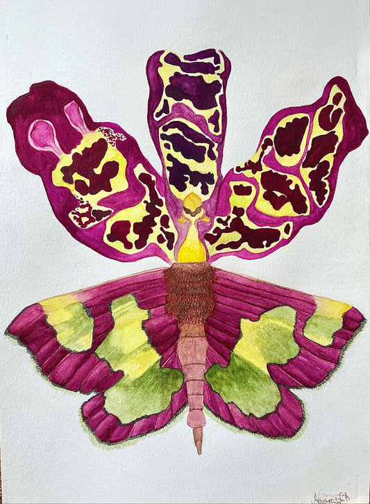 Orchid Hybrid