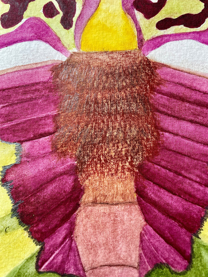 Orchid Hybrid