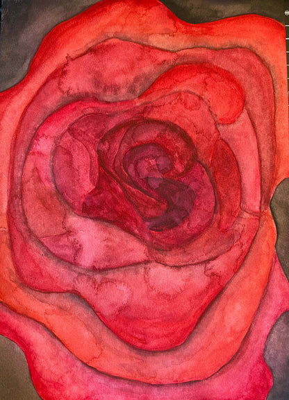 Ruptured Rose