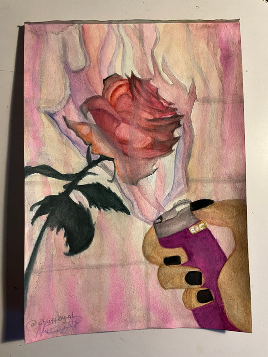 A Scorned Rose